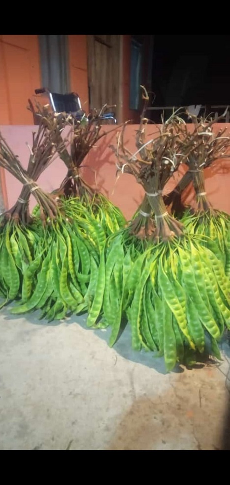 Konten Berita