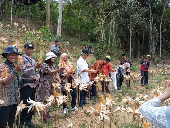 Konten Berita